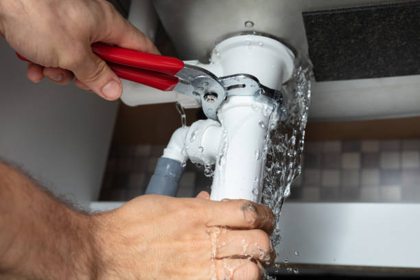 Best Carpet water damage restoration  in Hometown, IL