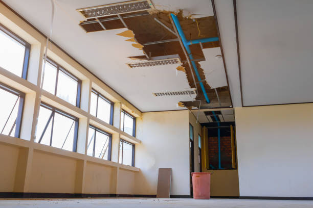 Best Water damage restoration near me  in Hometown, IL