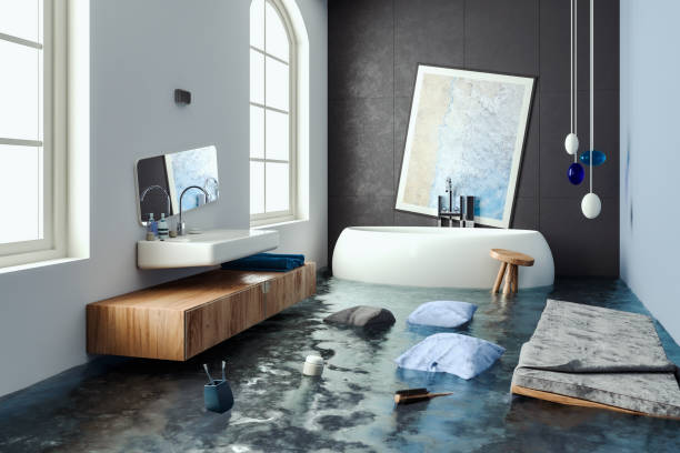 Best Mold removal after water damage  in Hometown, IL
