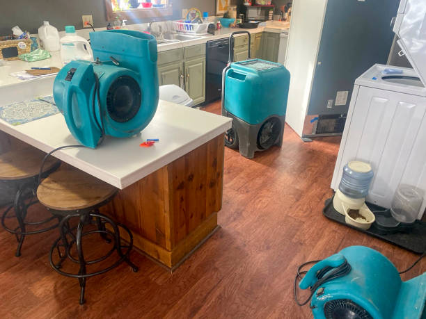 Best Water damage cleanup near me  in Hometown, IL