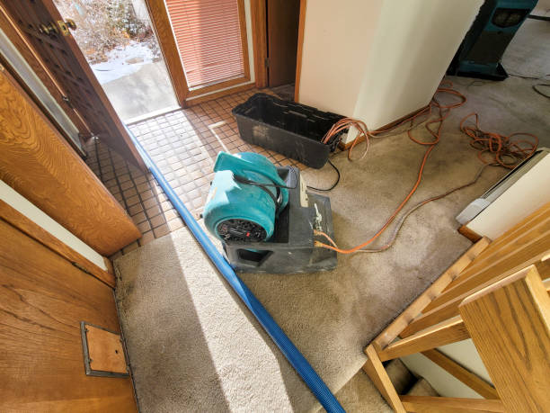Best Commercial water damage restoration  in Hometown, IL