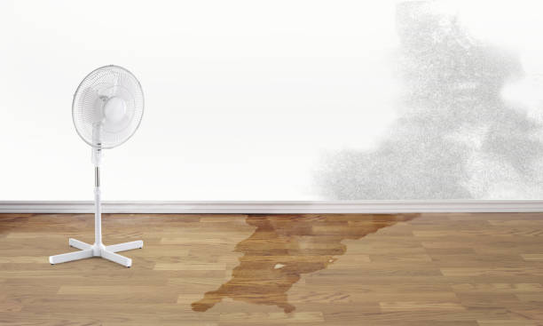 Best 24-hour water damage restoration  in Hometown, IL