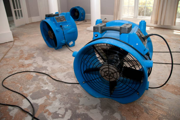 Best Sewage cleanup and water damage restoration  in Hometown, IL