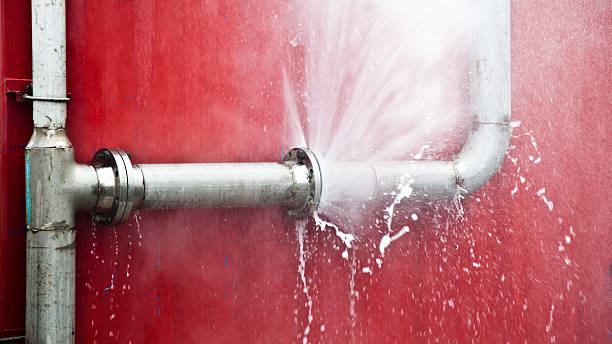 Best Basement water damage restoration  in Hometown, IL