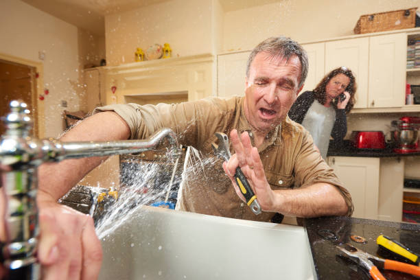Best Flood restoration services  in Hometown, IL